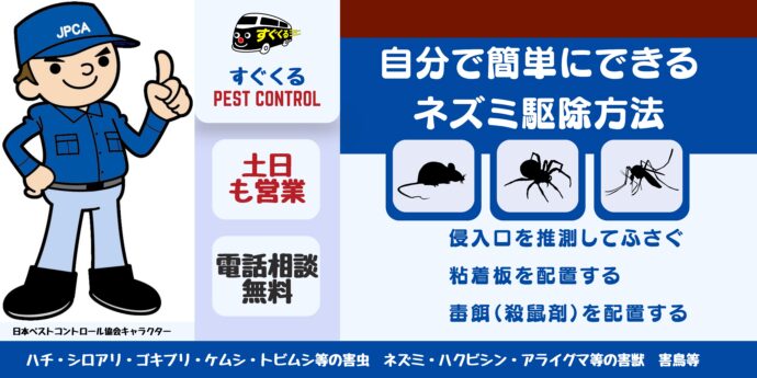 自分で簡単にできるネズミ駆除方法