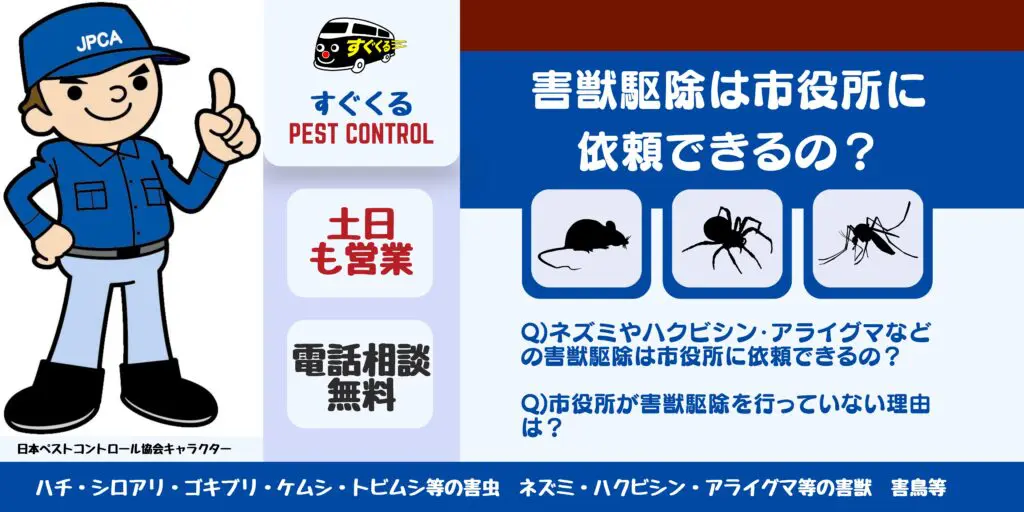 害獣駆除/Pest Control ネズミやハクビシン等の害獣に悩まされているあなたへ。市役所で