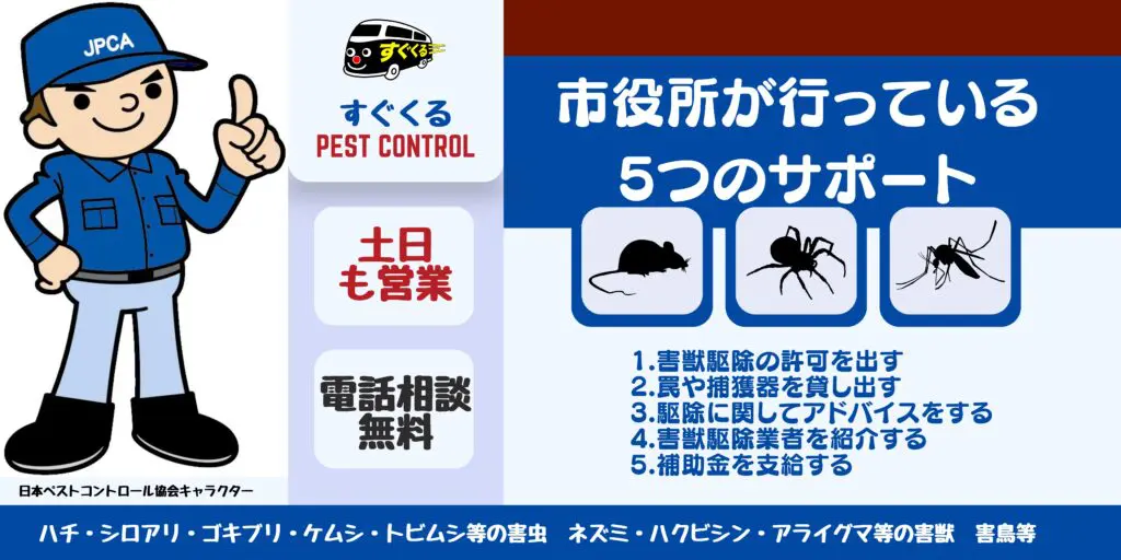 ネズミやハクビシン等の害獣に悩まされているあなたへ。市役所で