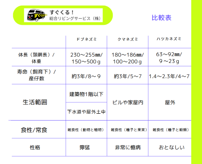 クマネズミ・ドブネズミ・ハツカネズミの3種　比較表