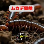 ムカデ駆除なら”すぐくる”