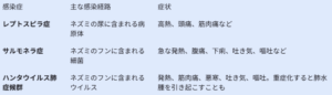 ネズミ被害の深刻な実例：衛生、家屋、精神への影響と早期対策”すぐくる"