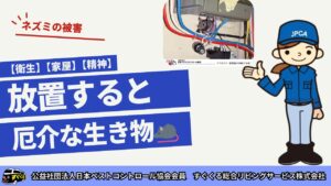 ネズミ被害の深刻な実例：衛生、家屋、精神への影響と早期対策”すぐくる"