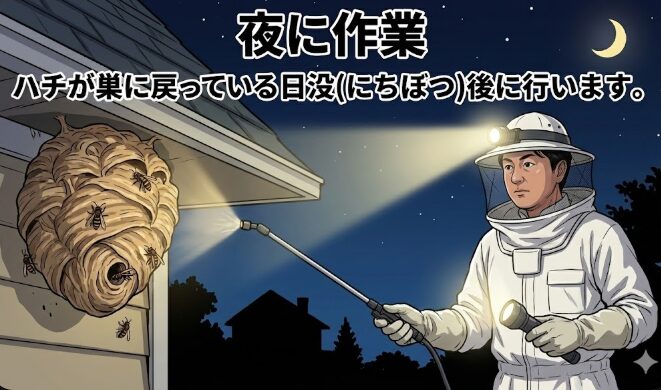 夜に作業
ハチが巣に戻っている日没(にちぼつ)後に行います。