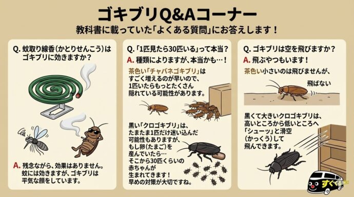 ゴキブリ”すぐくる”