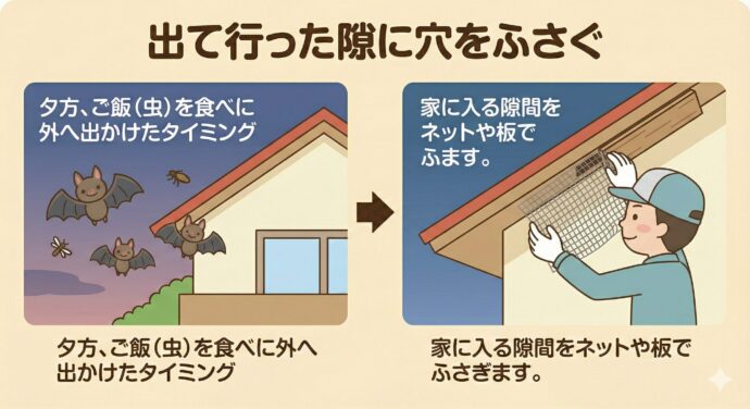 コウモリ”すぐくる”