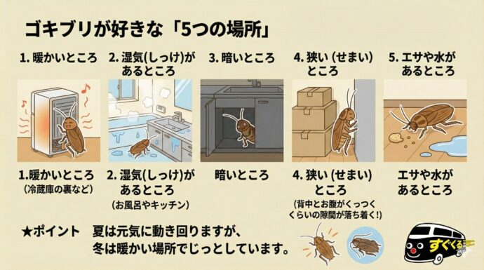 ゴキブリ”すぐくる”