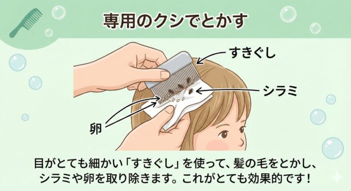 アタマジラミ”すぐくる”