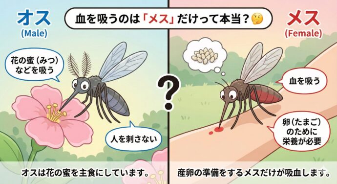 蚊(か)”すぐくる”