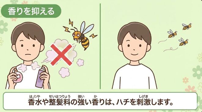 香りを抑える
香水や整髪料(せいはつりょう)の強い香りは、ハチを刺激(しげき)します。