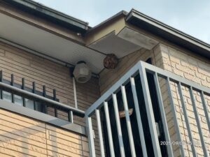 玄関のすぐ上に鎮座するスズメバチの巣