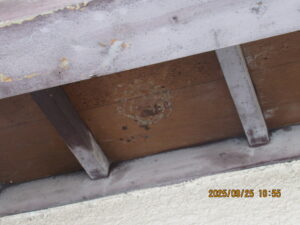 綺麗になった軒下の様子