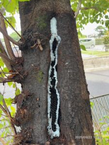 安全を確認した現場の様子