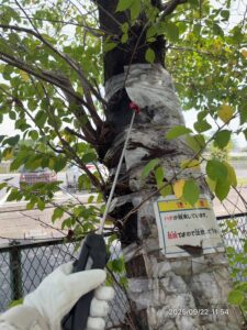 厳重な装備での駆除作業