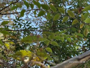 安全が確保された現場