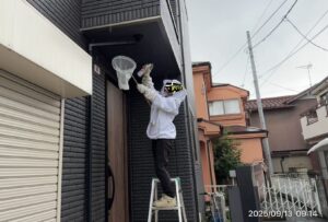 駆除作業中