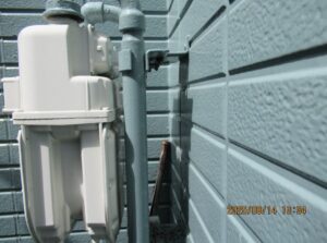 アシナガバチの巣駆除後