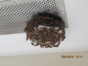 お客様の自宅2階バルコニー下部分