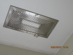 アシナガバチの巣駆除後