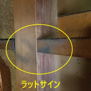 一般住宅のネズミ駆除現場で確認された柱・木部のラットサイン(黄色の丸印で示した、ネズミの体毛や皮脂汚れによる黒ずみと通り道の痕跡)