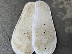 駆除作業スタッフのスリッパ裏に付着した大量のトコジラミとフン。埼玉県蓮田市の異常繁殖現場より。
