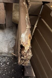 雨漏りなどの湿気が原因でシロアリに内部を完全に食い尽くされた木材と蟻道(ぎどう)。すぐくる総合リビングサービスの床下調査現場より。