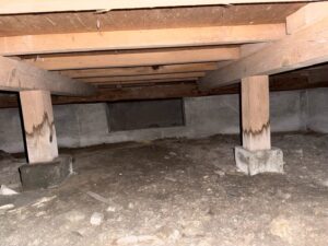 川口市の現場の床下木部(束や土台)。ネズミの侵入や湿気による黒色腐朽菌・シロアリリスクのチェックポイント。