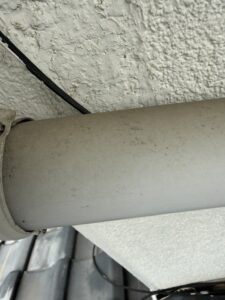 さいたま市浦和区元町の住宅で発見された、雨どいに付着したクマネズミのラットサイン(黒ずんだ足跡・体毛の油汚れ)