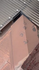 川越市の住宅の屋根に残されたハクビシンの5本指の足跡。屋根裏侵入の危険なサイン。