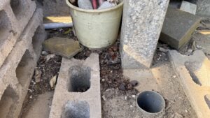 外の水道周りのコンクリートブロックの隙間に木の実をため込むネズミの貯食行動の痕跡