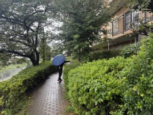 川口市のマンション敷地内で、青い傘をさしながら蜂の巣の探索調査を行うすぐくるの作業員。