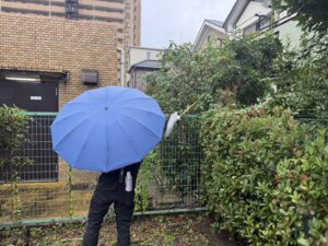 マンション裏手のフェンス際や生垣の奥を、道具を使って丁寧に探索する蜂の巣調査の様子。